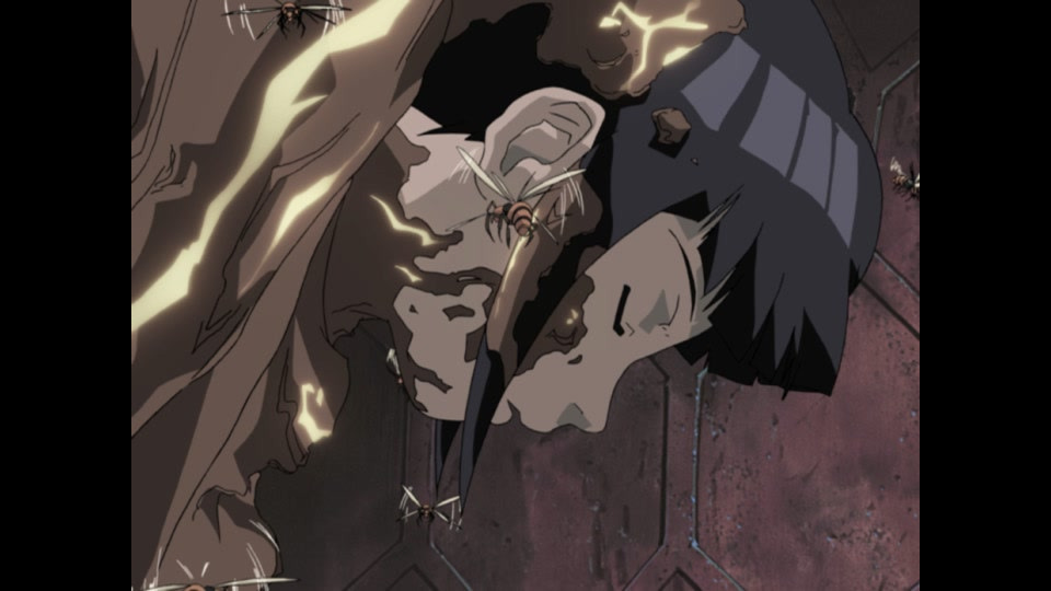 NARUTO‐ナルト‐オリジナル編1 第百四十九話 どこが違うのさ! 虫って同じに見えないか